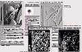 Sample Filtering